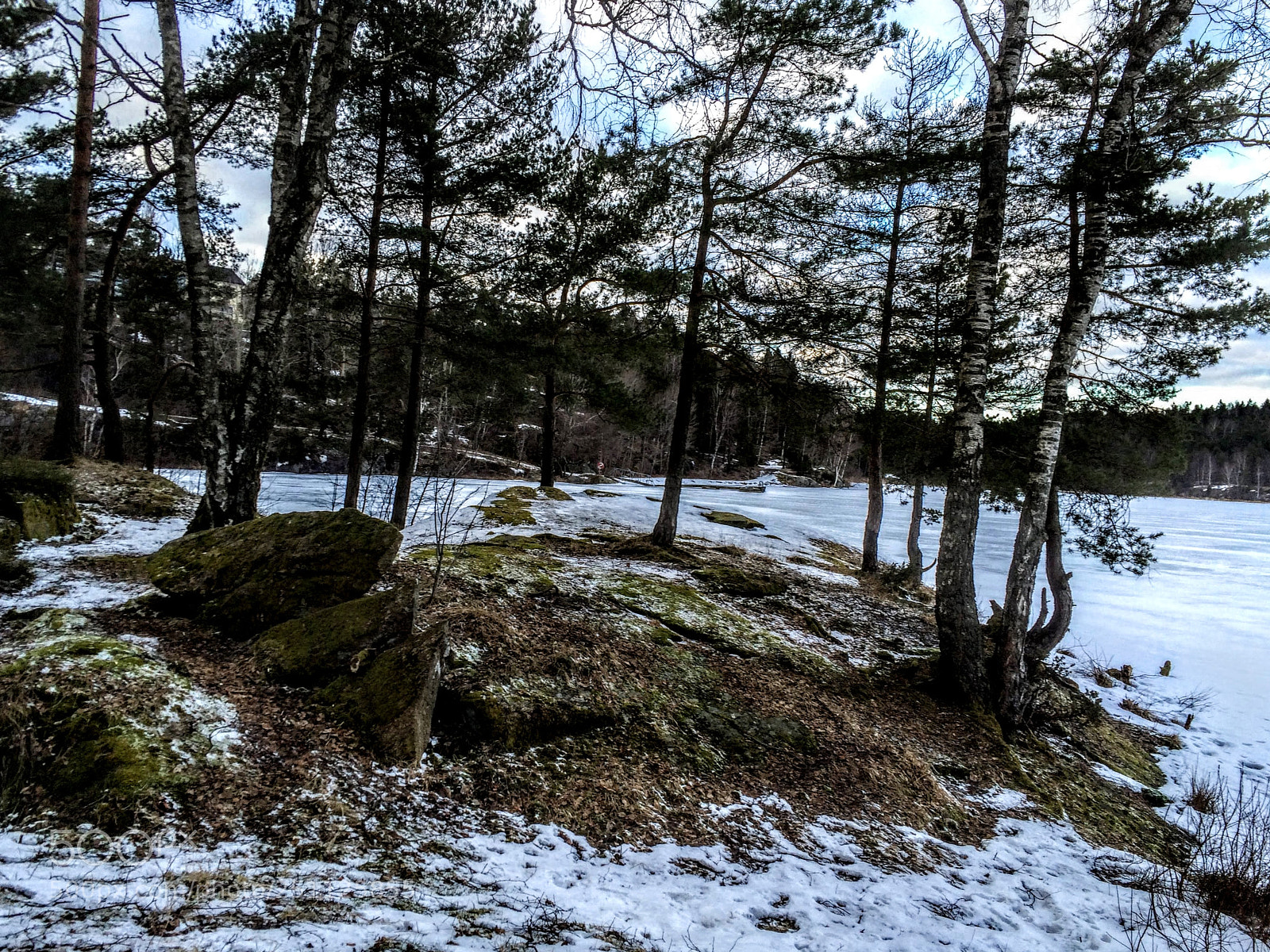 Apple iPhone 5s sample photo. The lakeside photography
