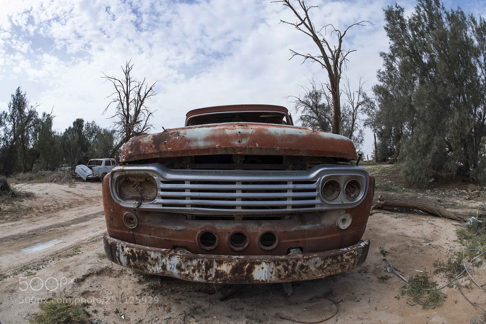 Nikon D810 sample photo. Ford photography