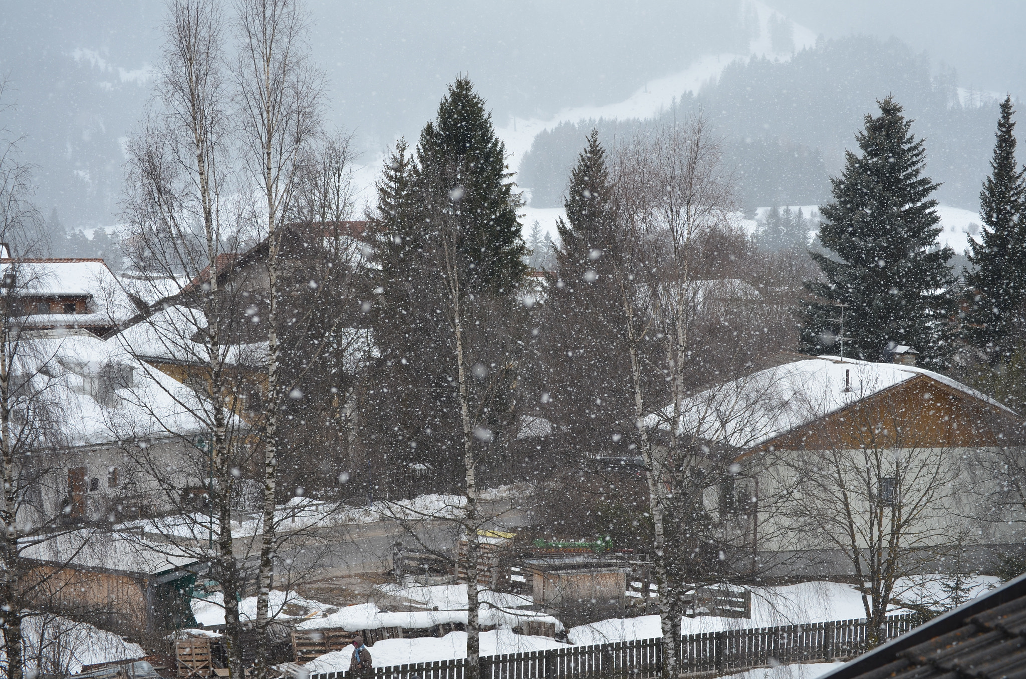 Nikon D5100 sample photo. Snow photography