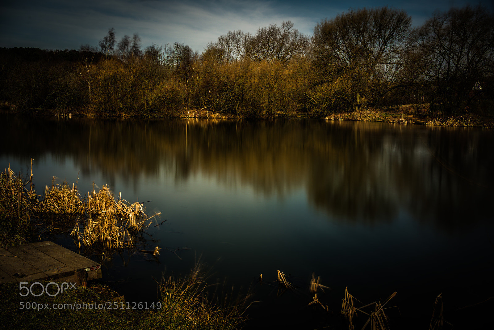 Sony a7R II sample photo. Pond photography