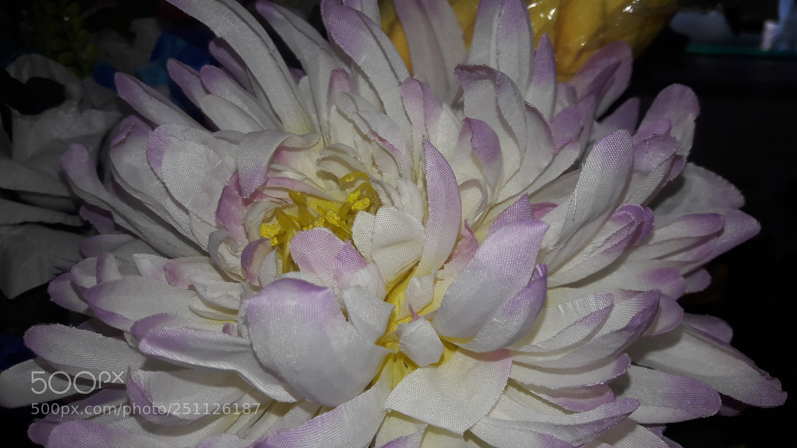 Samsung Galaxy J7 sample photo. Untitled photography