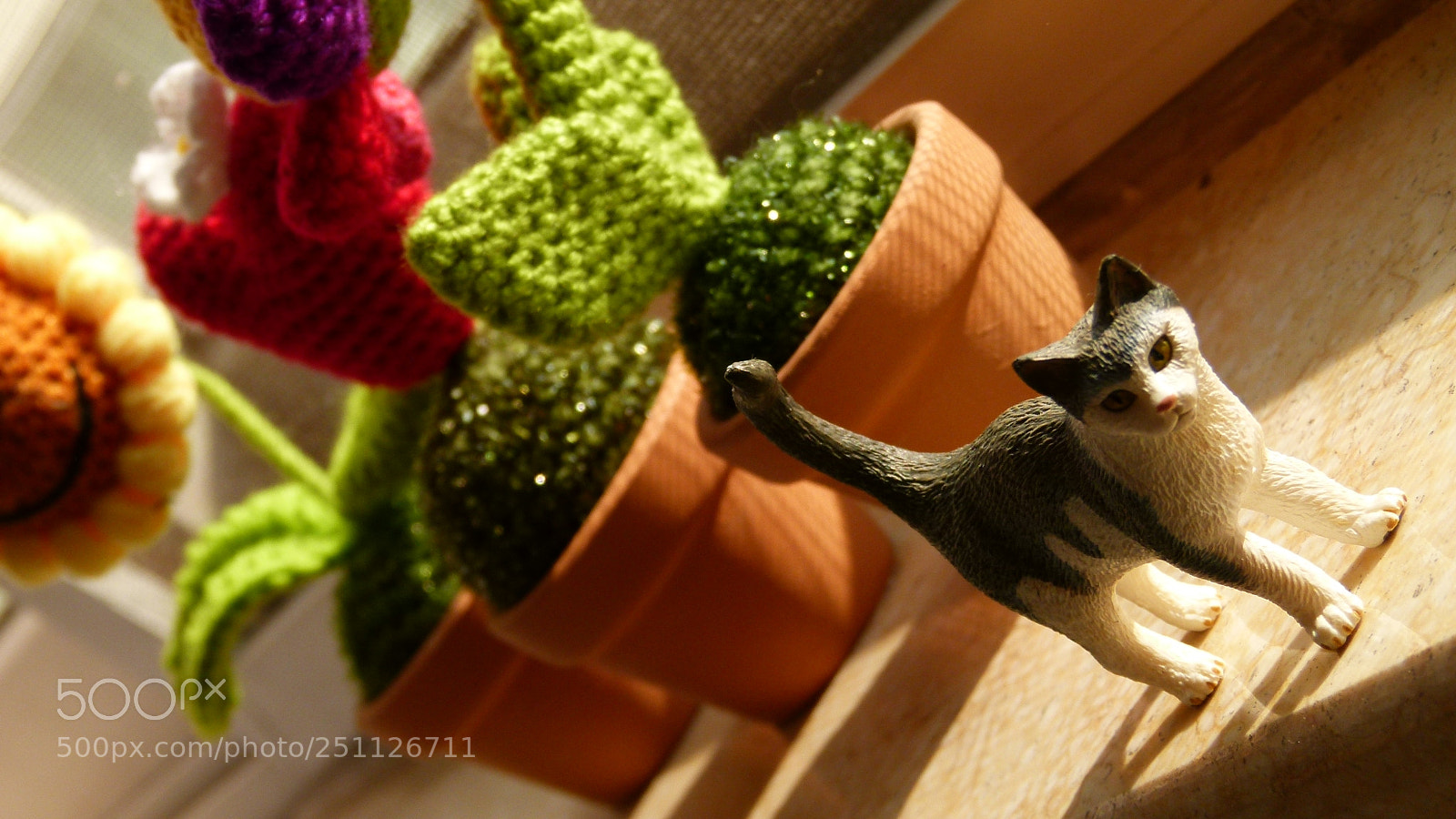 Leica V-Lux 2 sample photo. Untitled photography