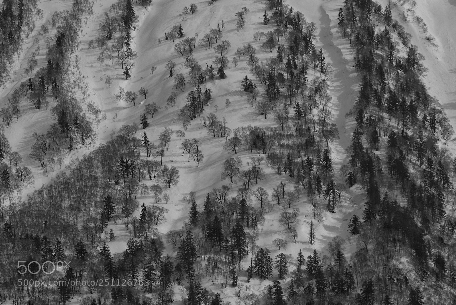 Pentax K10D sample photo. Mountainside 2 photography