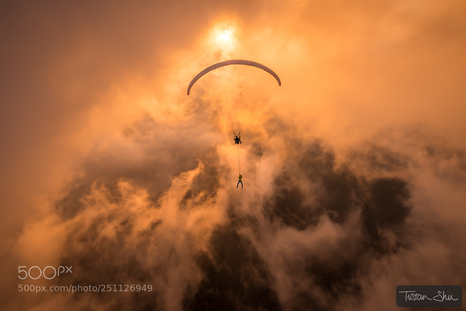 Nikon D810 sample photo. Towards the sun and photography