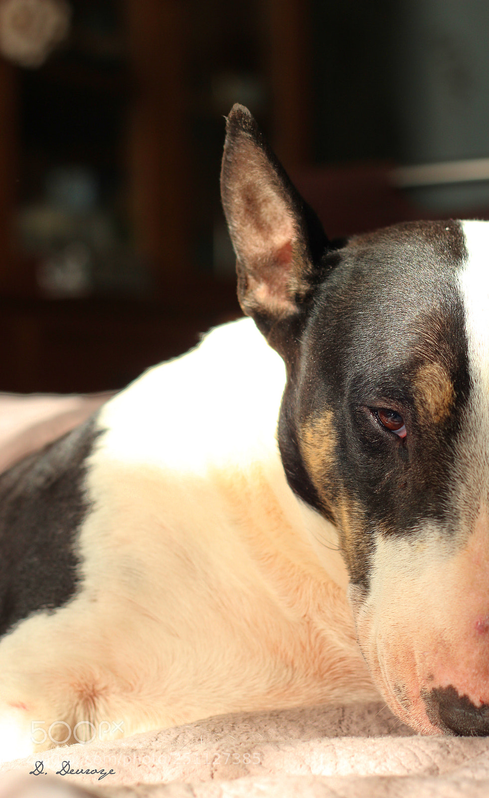 Canon EOS 1200D (EOS Rebel T5 / EOS Kiss X70 / EOS Hi) sample photo. Luna photography