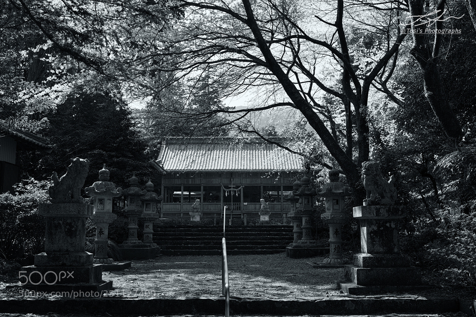Nikon D850 sample photo. Shrine the place where photography