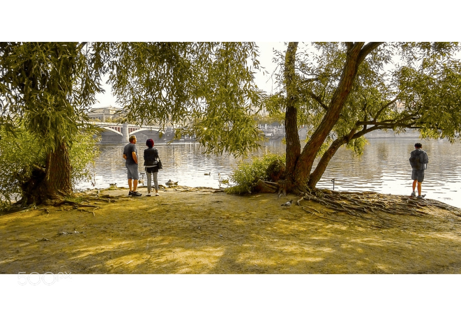Sony DSC-HX60 sample photo. Vltava photography