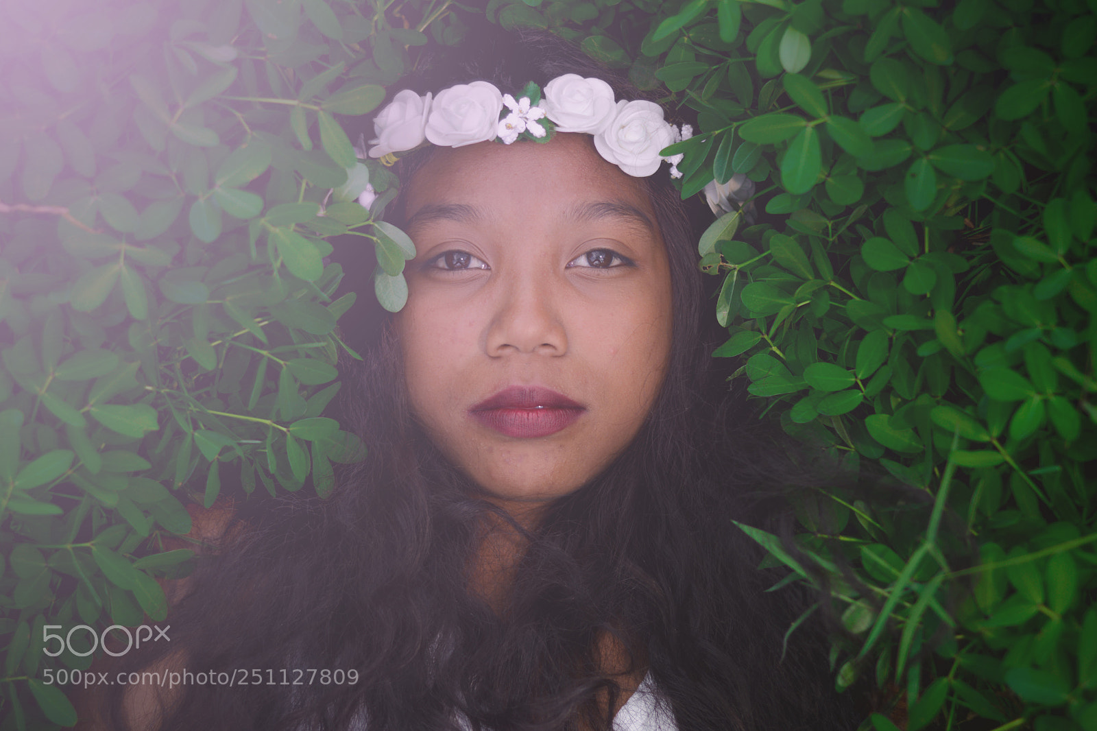 Nikon D7100 sample photo. ??flower?? photography
