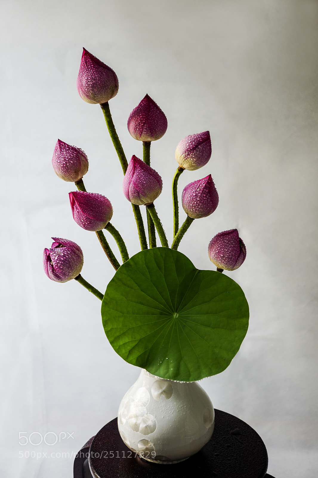 Sony a6000 sample photo. Lotus flower photography