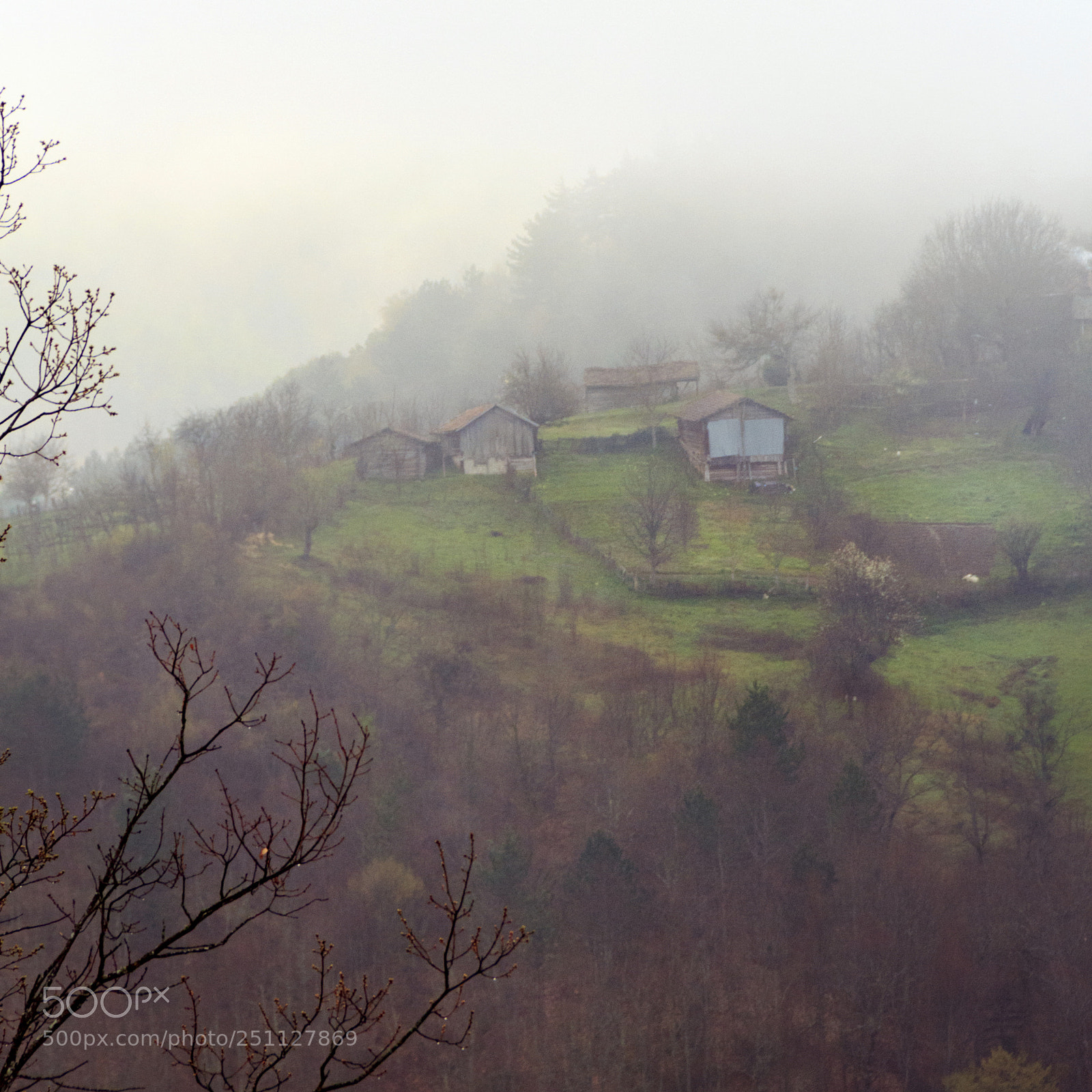 Canon EOS 60D sample photo. Foggy morning 2 photography