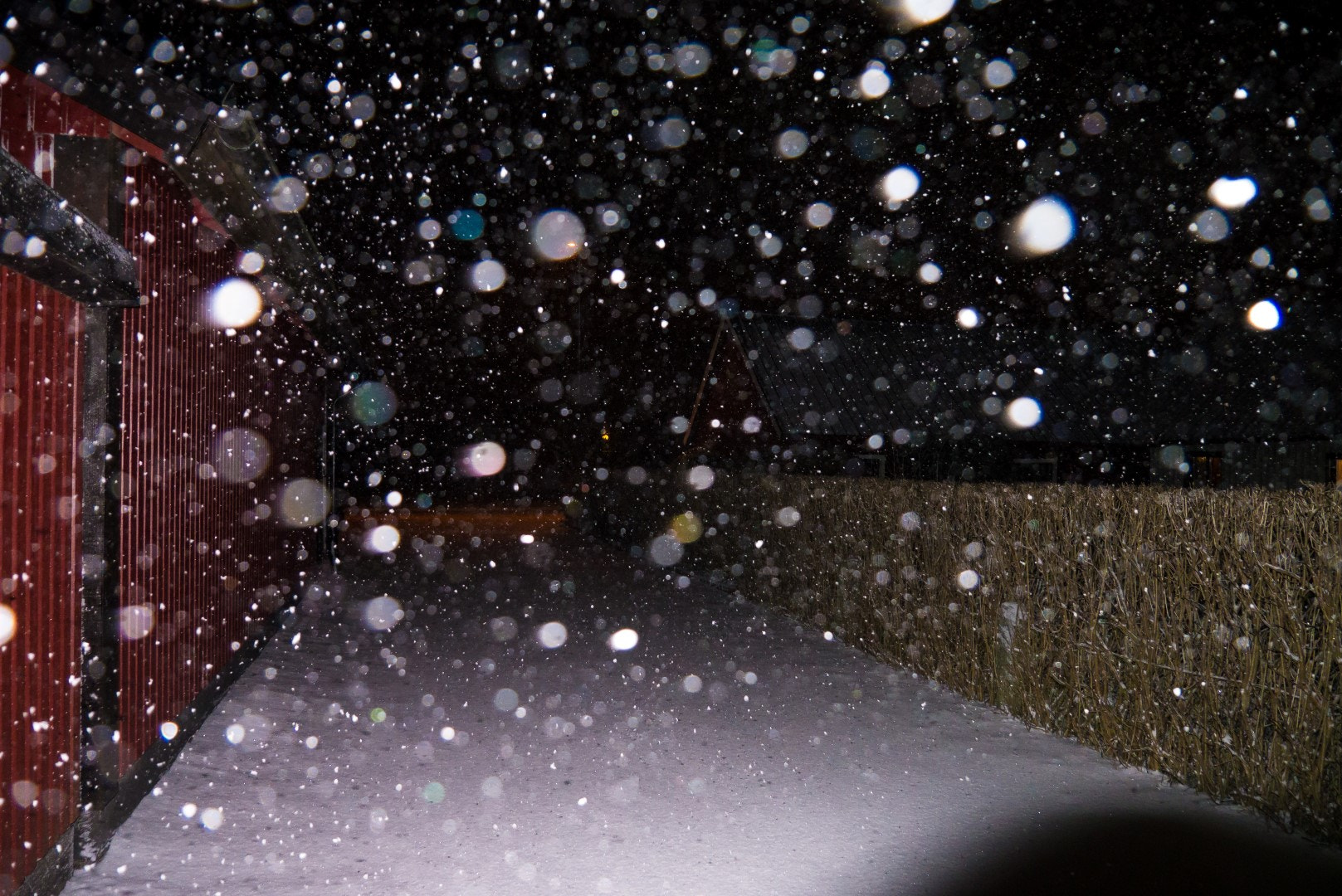 Panasonic Lumix DMC-GX1 sample photo. At home last night photography