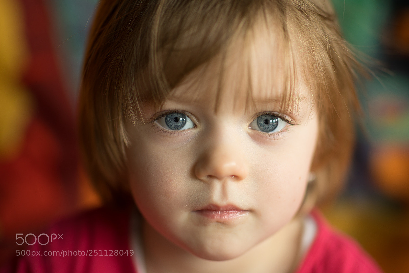 Canon EOS 5D Mark IV sample photo. Full of colours photography