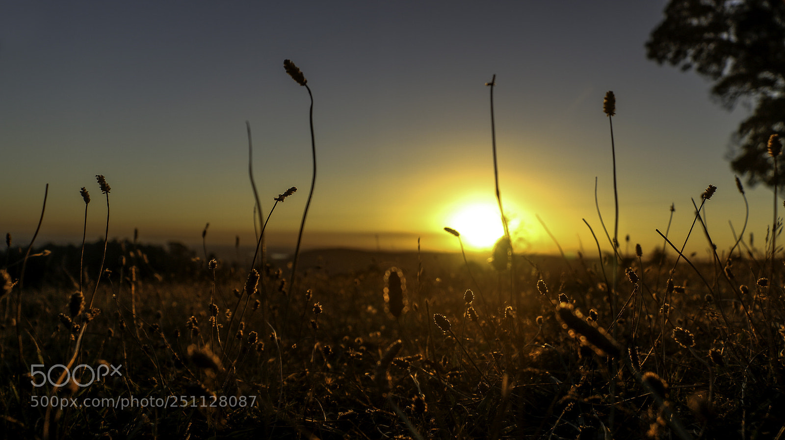 Canon EOS 70D sample photo. Sunset in the country photography