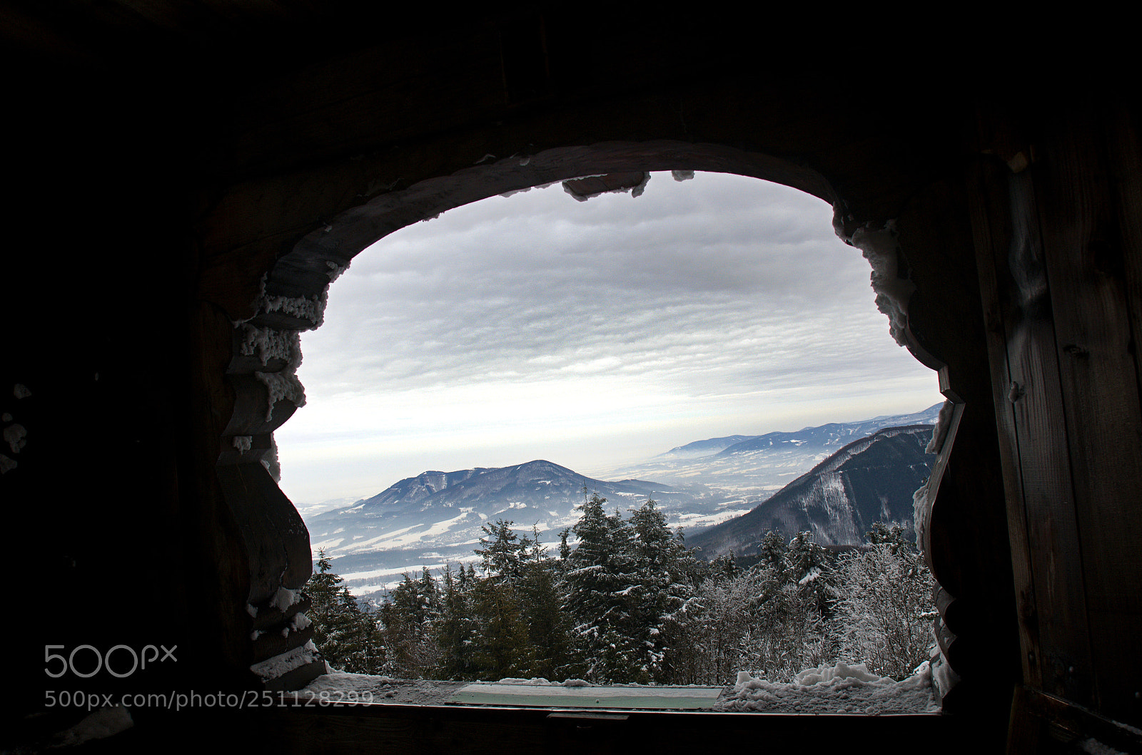 Nikon D7000 sample photo. Dsc photography