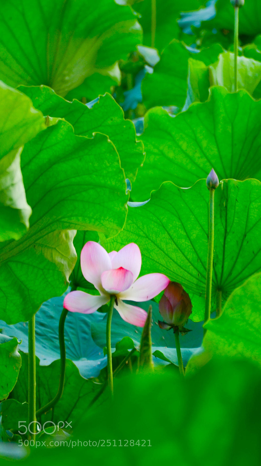 Nikon D7000 sample photo. W5 photography