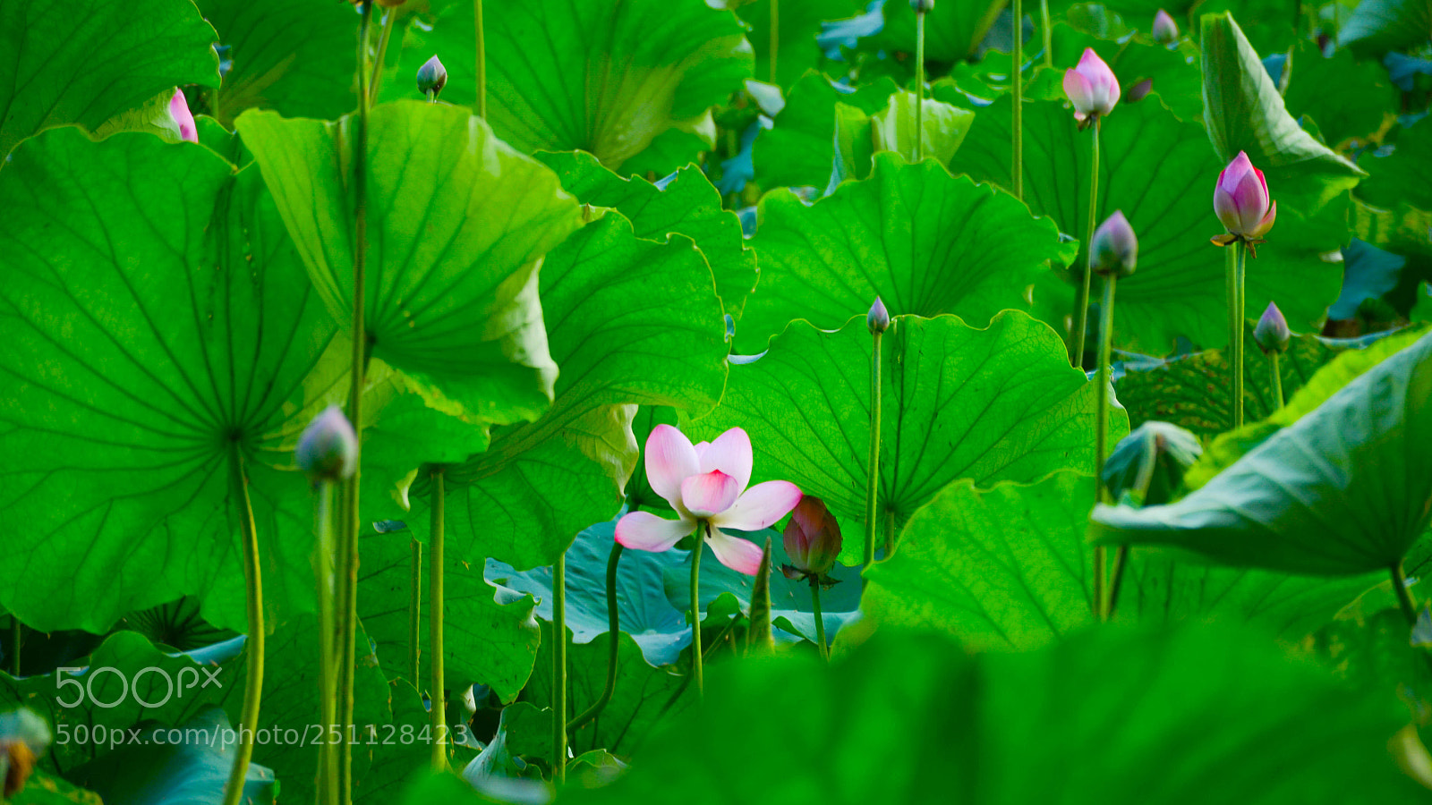 Nikon D7000 sample photo. W3 photography