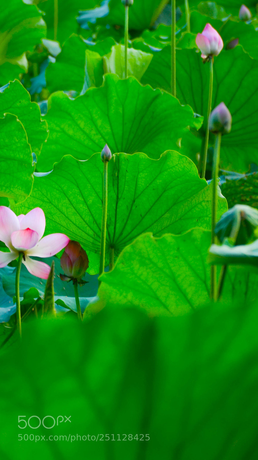 Nikon D7000 sample photo. W4 photography
