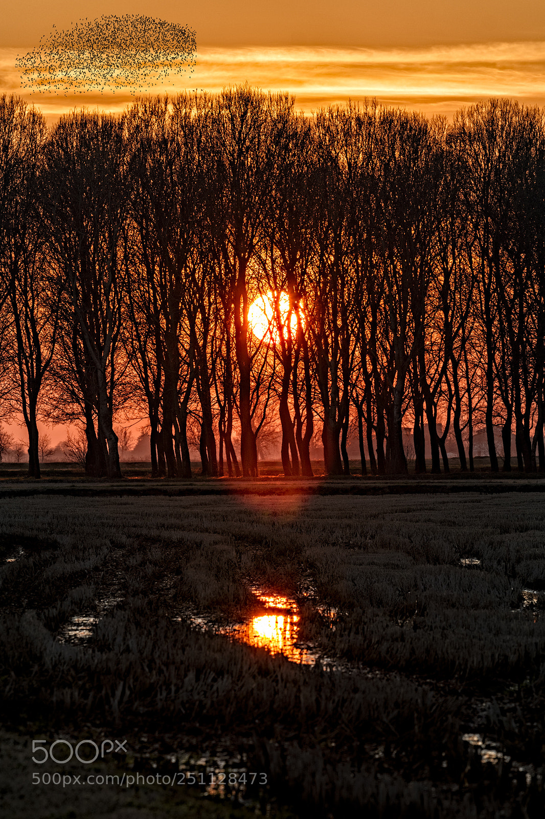 Canon EOS 70D sample photo. Golden sunset photography