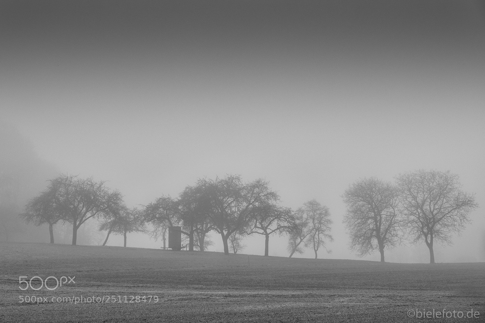 Fujifilm X-T20 sample photo. Foggy field photography