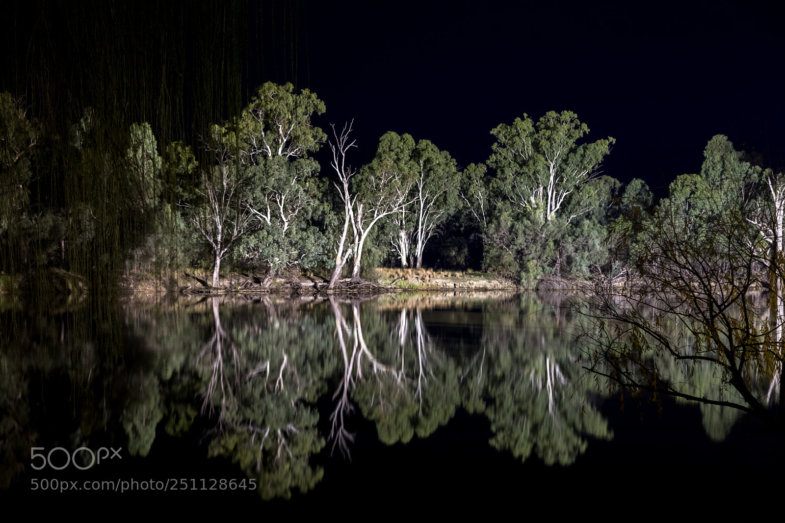 Canon EOS 5D Mark IV sample photo. Robinvale. murray river photography