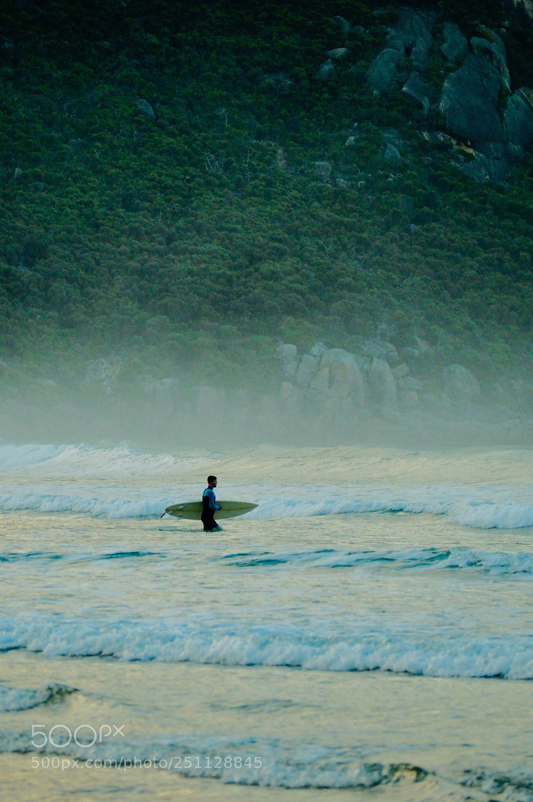 Olympus OM-D E-M10 II sample photo. Foggy mornings  photography