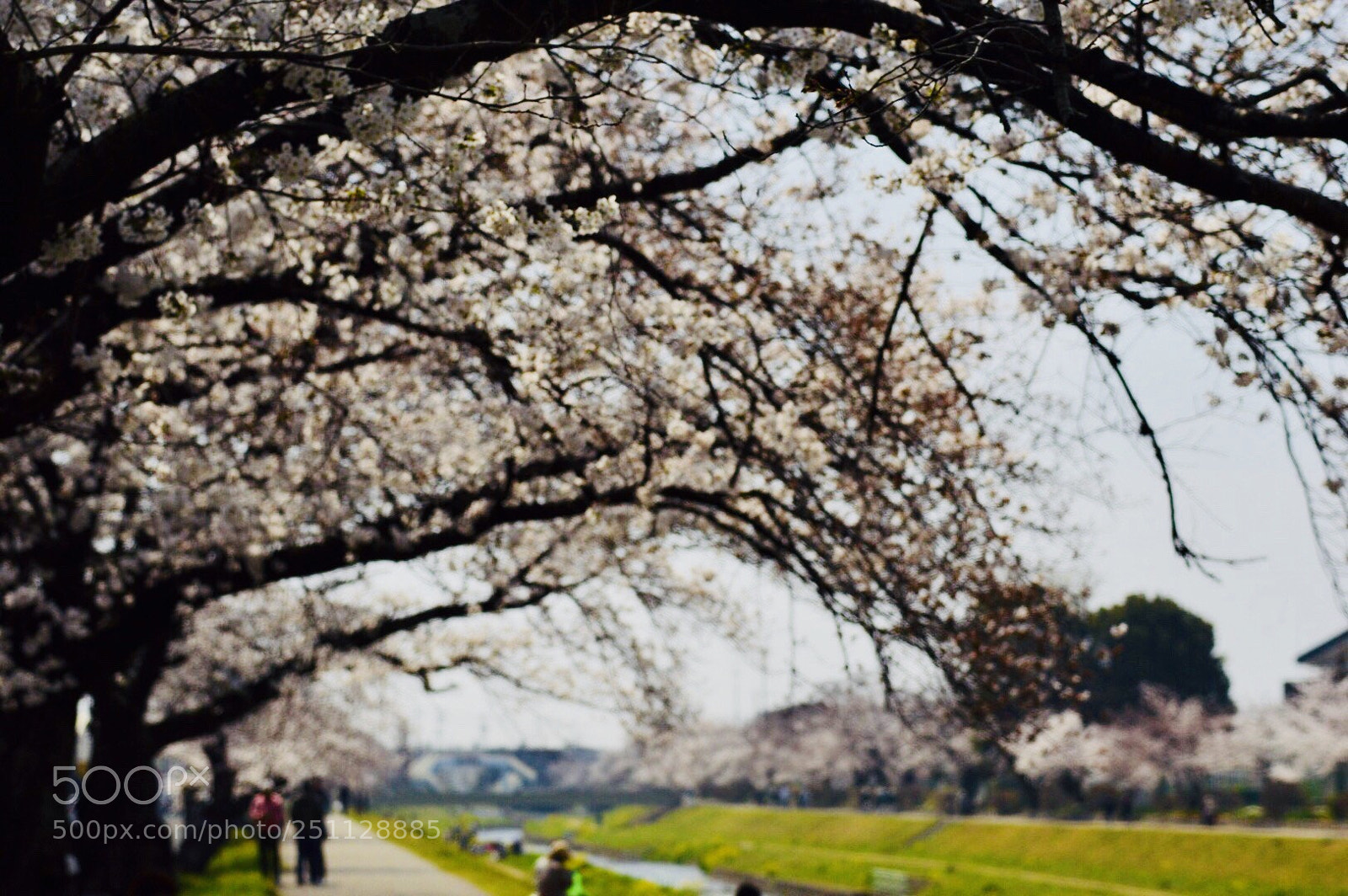 Nikon D3200 sample photo. Untitled photography