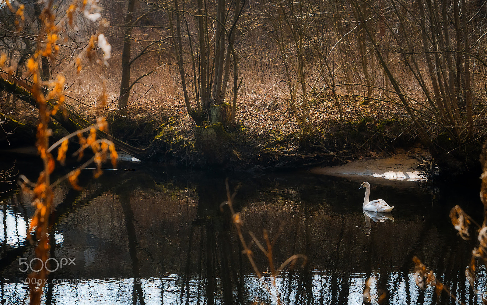 Canon EOS 7D sample photo. On the river photography