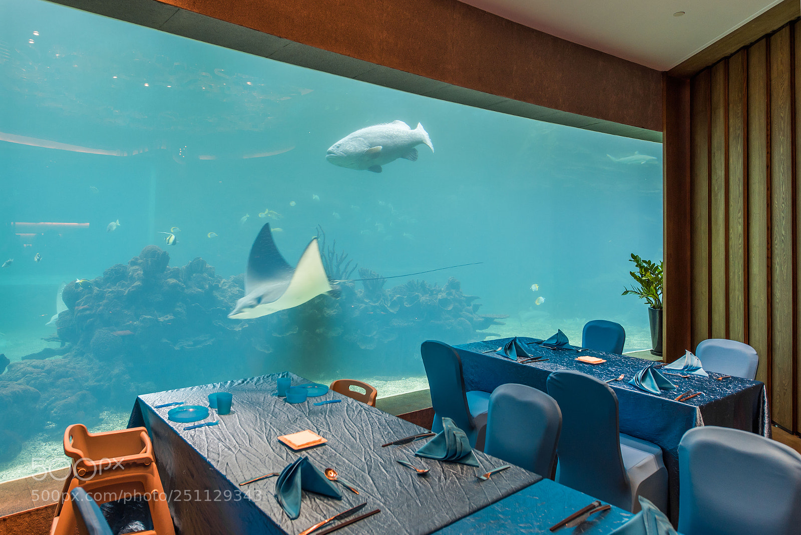 Nikon D750 sample photo. Restaurant under water photography