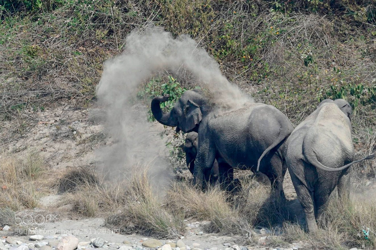 Nikon D500 sample photo. Mud bath photography