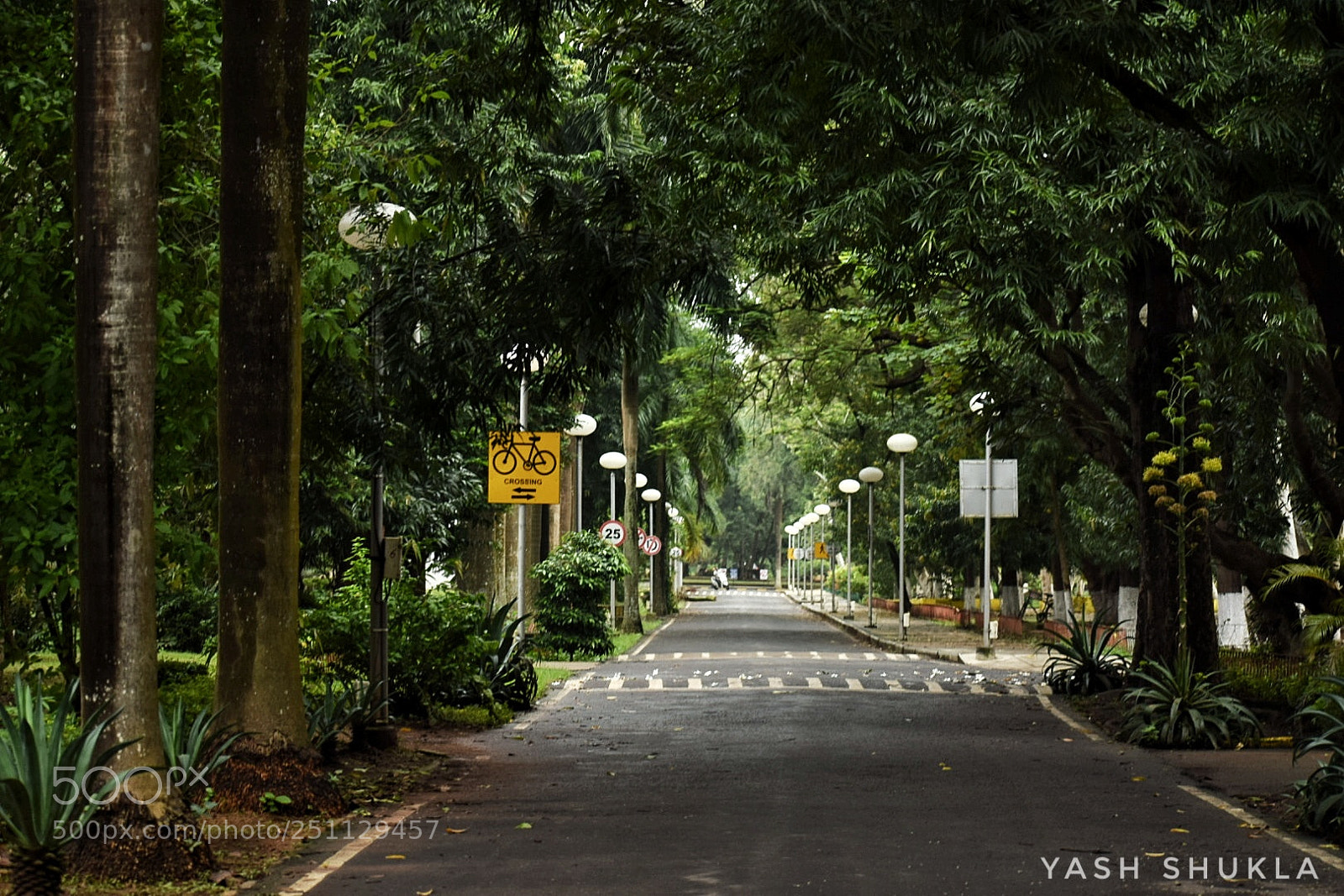 Nikon D5300 sample photo. Converge photography