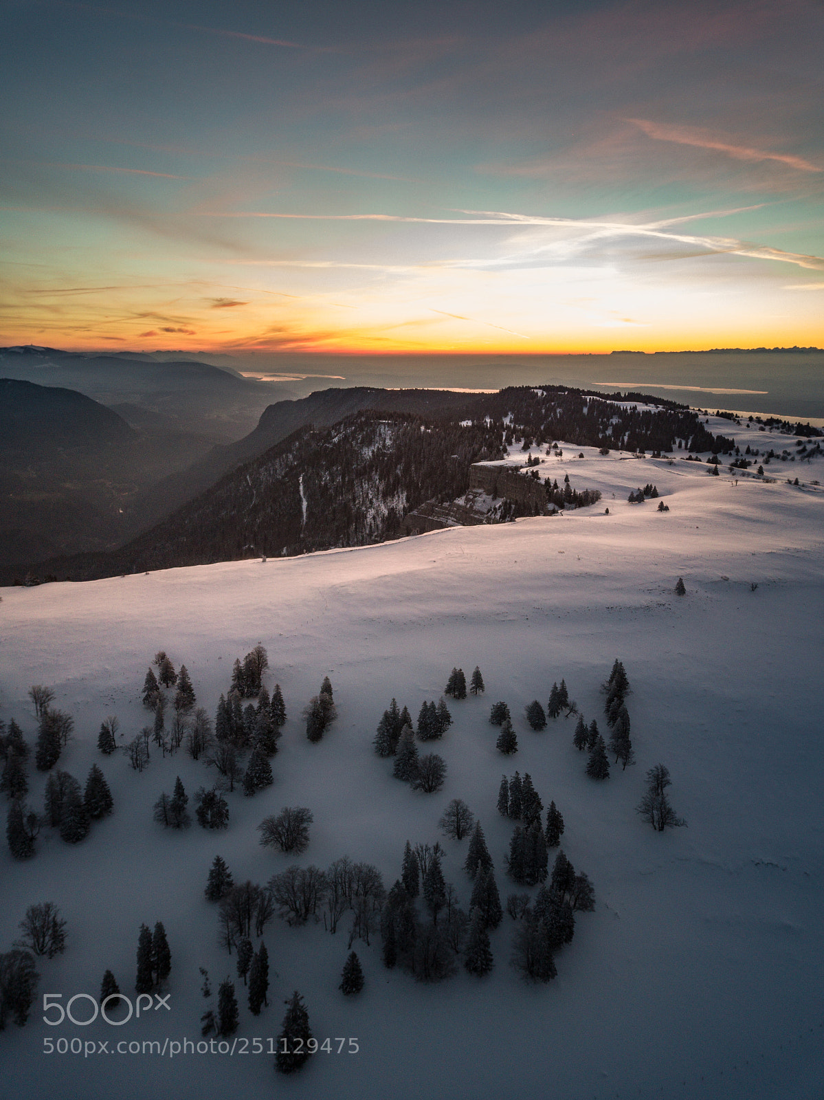DJI FC220 sample photo. Early bird photography