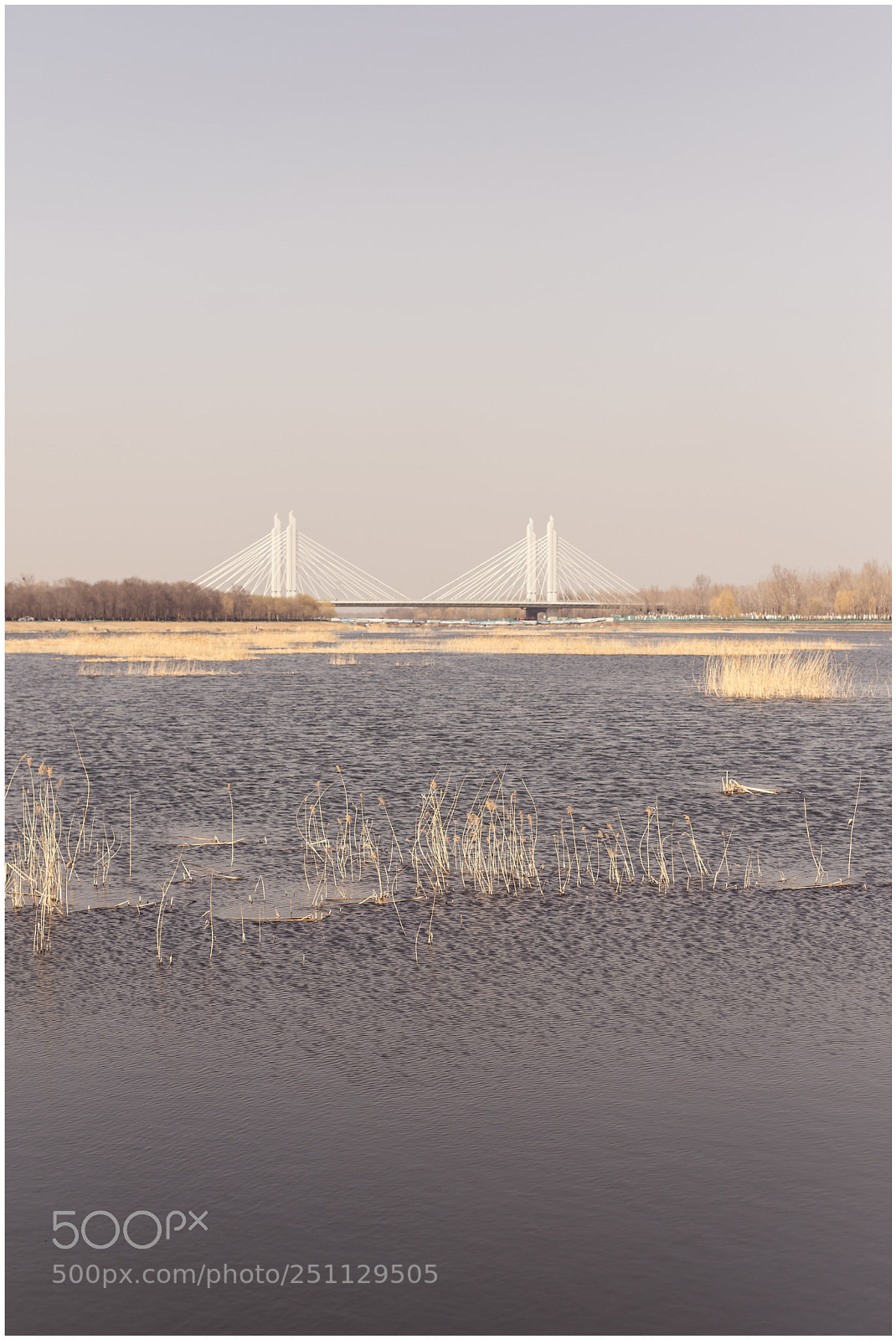 Nikon D7200 sample photo. Outskirts photography