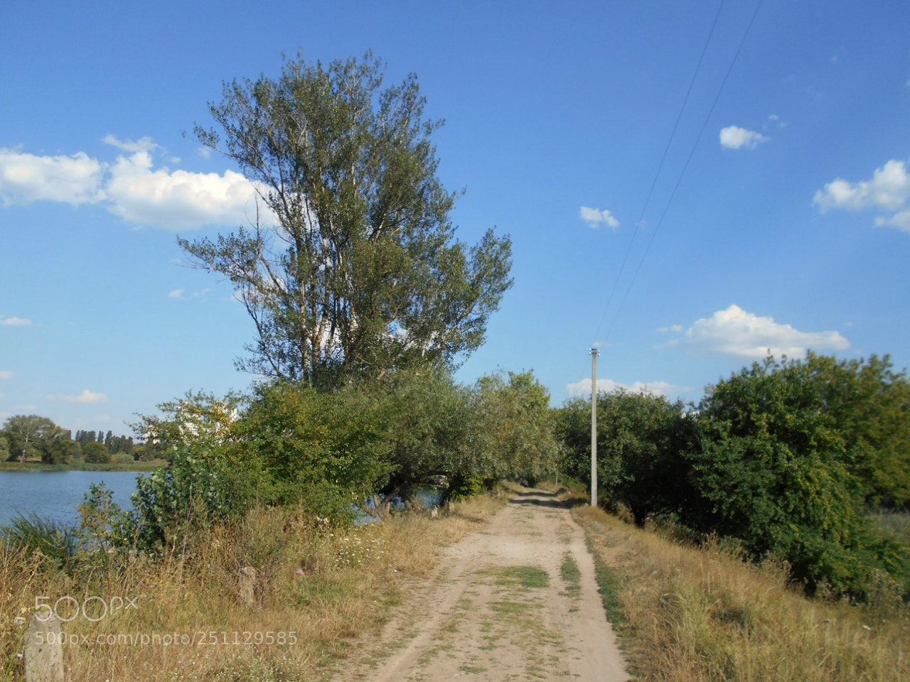 Nikon Coolpix A100 sample photo. Feforig photography