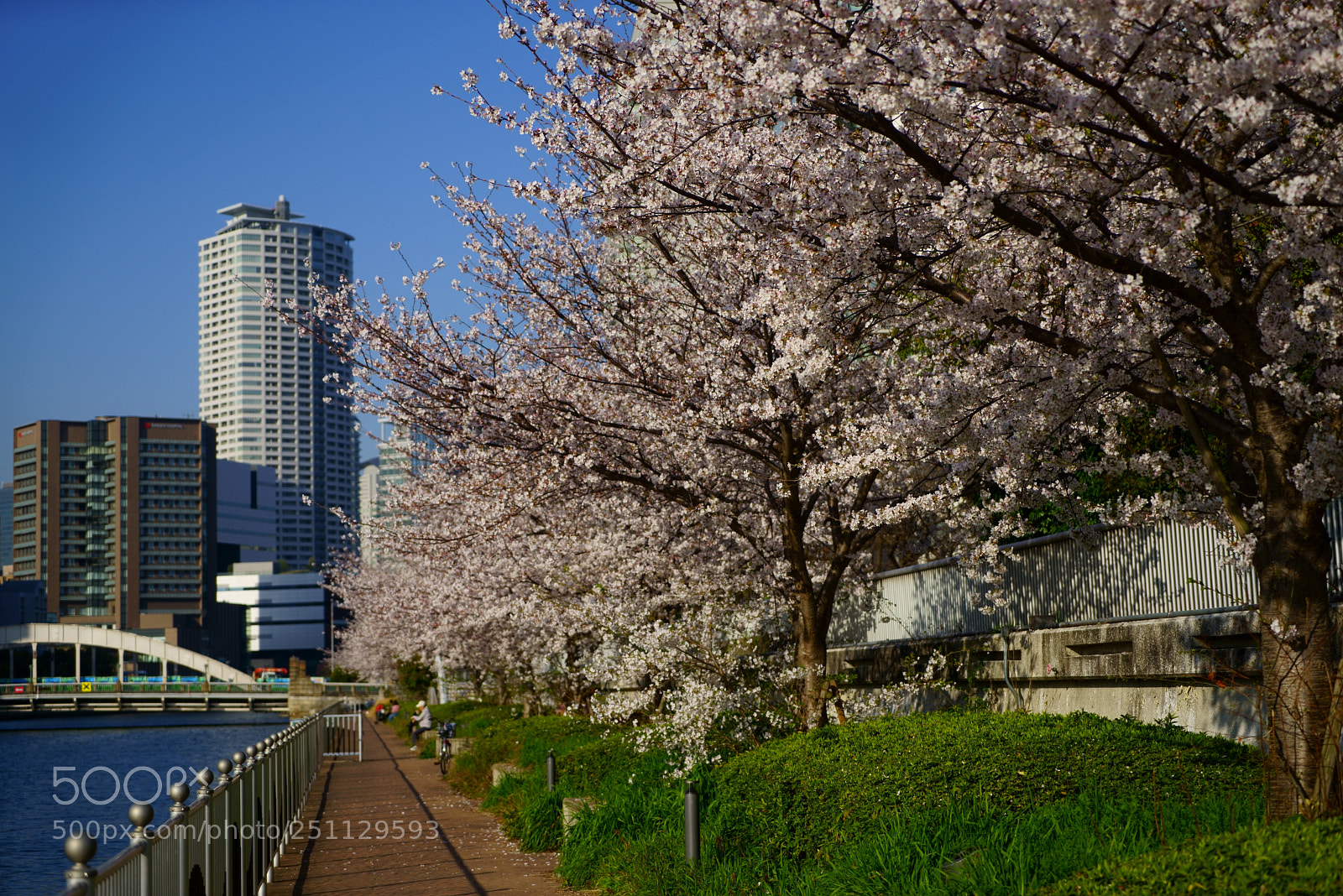 Sony a7R sample photo. Riverside photography