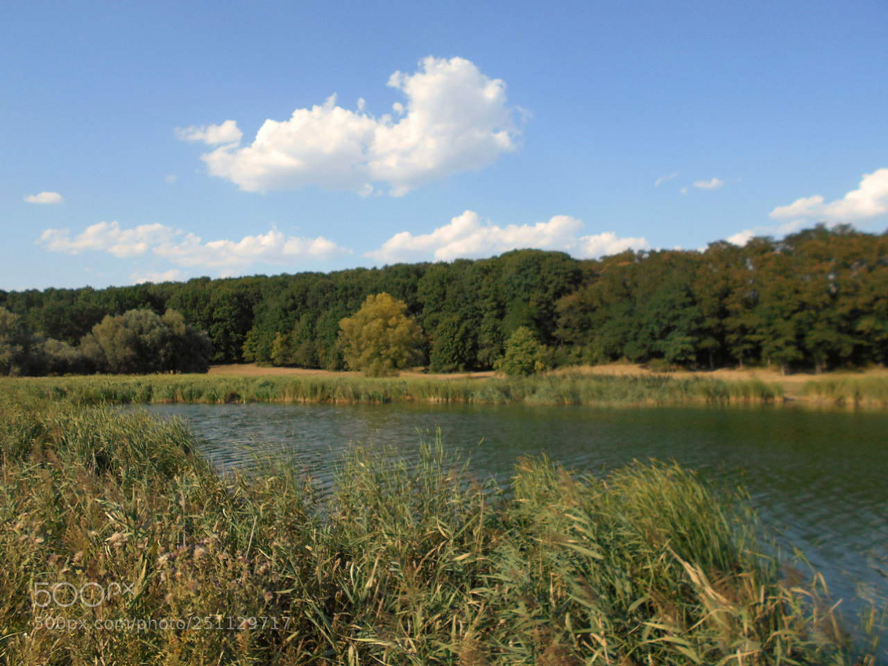 Nikon Coolpix A100 sample photo. Fdf ecade orig photography