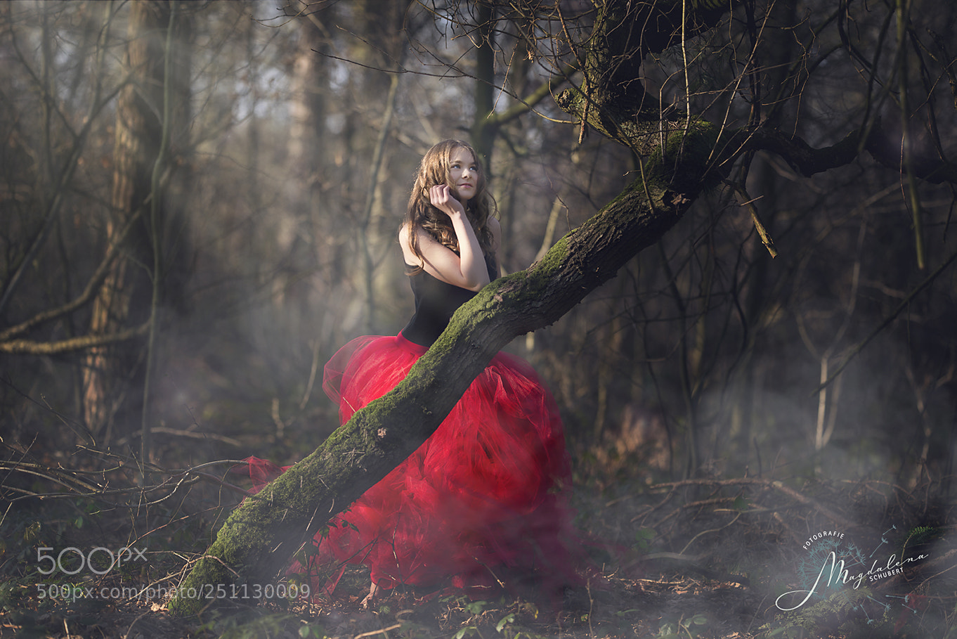 Nikon D600 sample photo. Magical forest photography