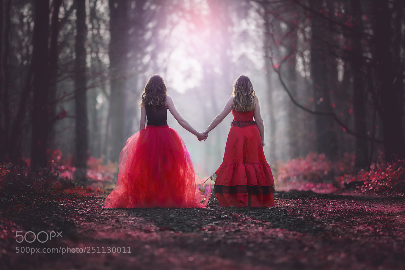 Nikon D600 sample photo. Magical forest photography