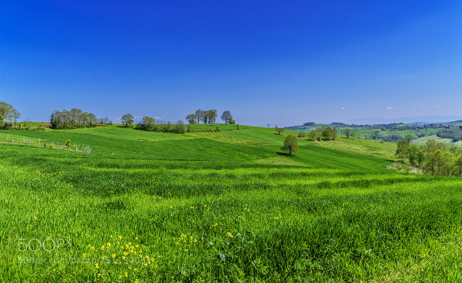 Sony a7R II sample photo. Spring (iii)... photography