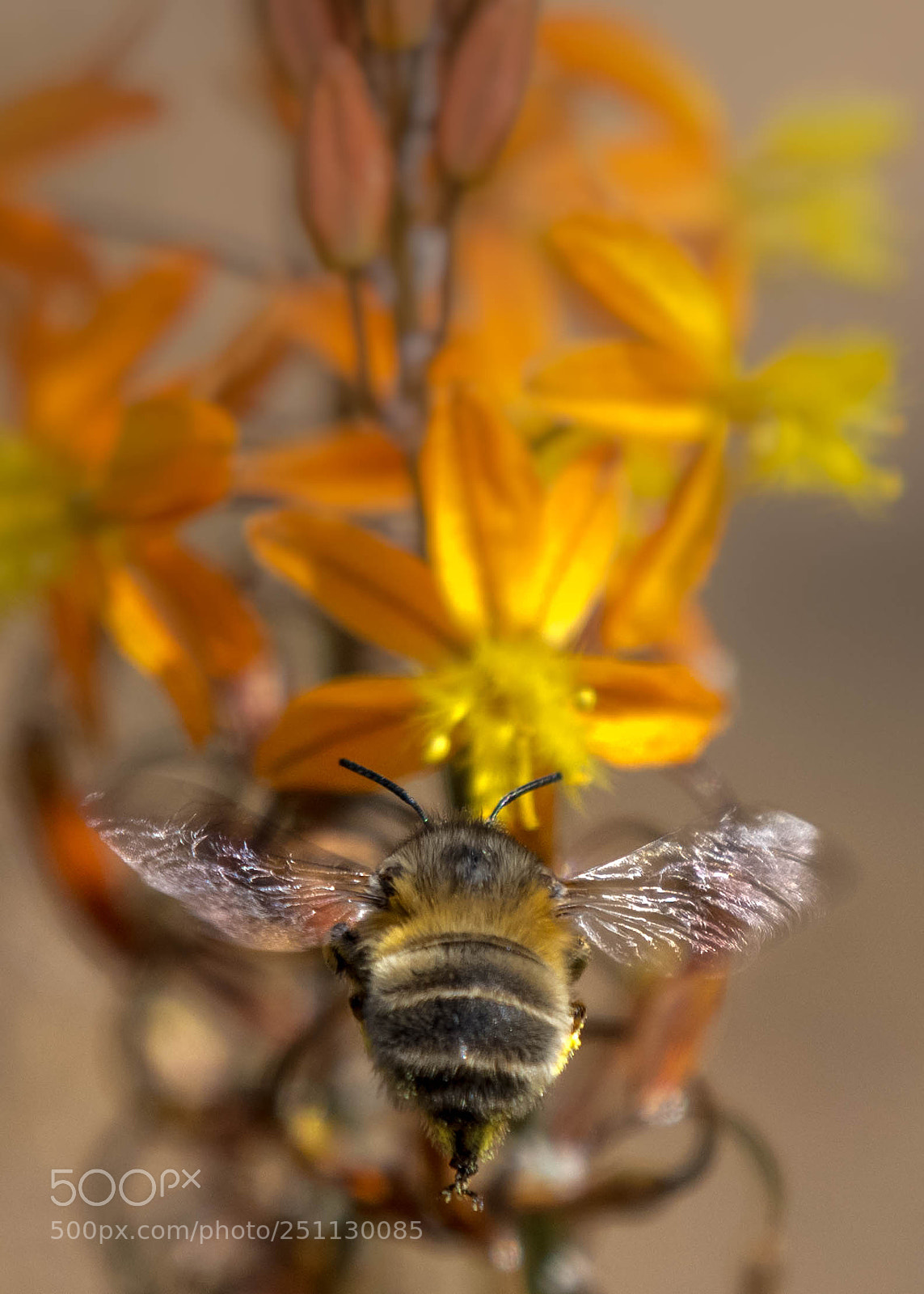Nikon D500 sample photo. Come fly with me.. photography