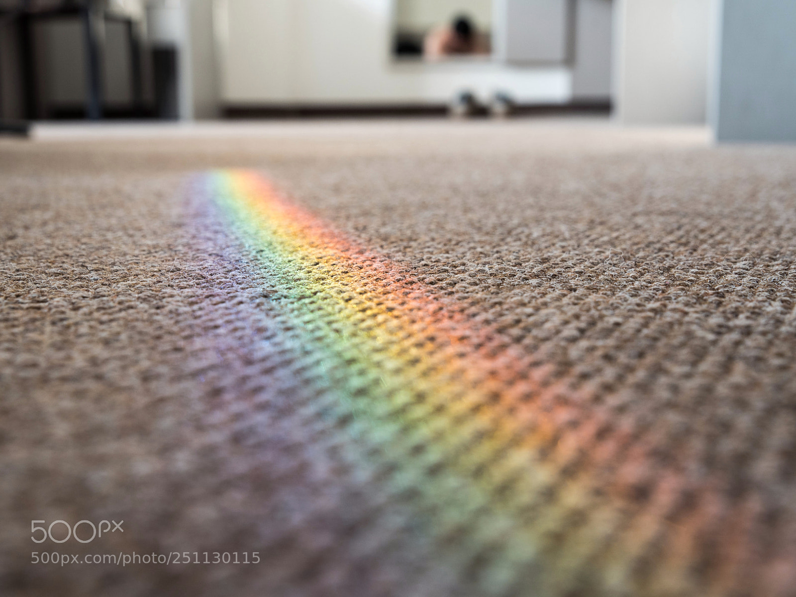 Nikon D750 sample photo. Rainbow in my room photography