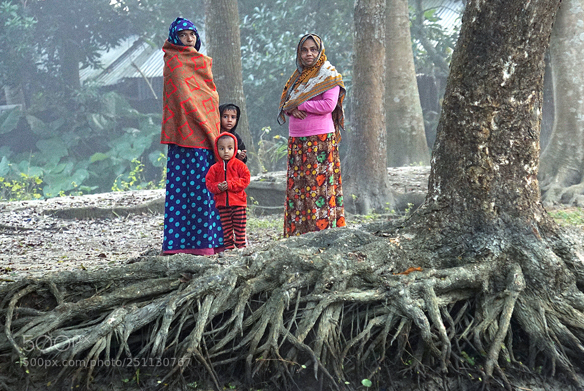 Sony a6000 sample photo. Roots in bangladesh by photography