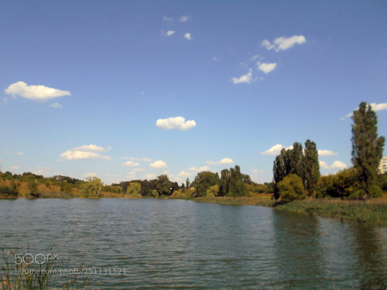Nikon Coolpix A100 sample photo. Fbb aborig photography