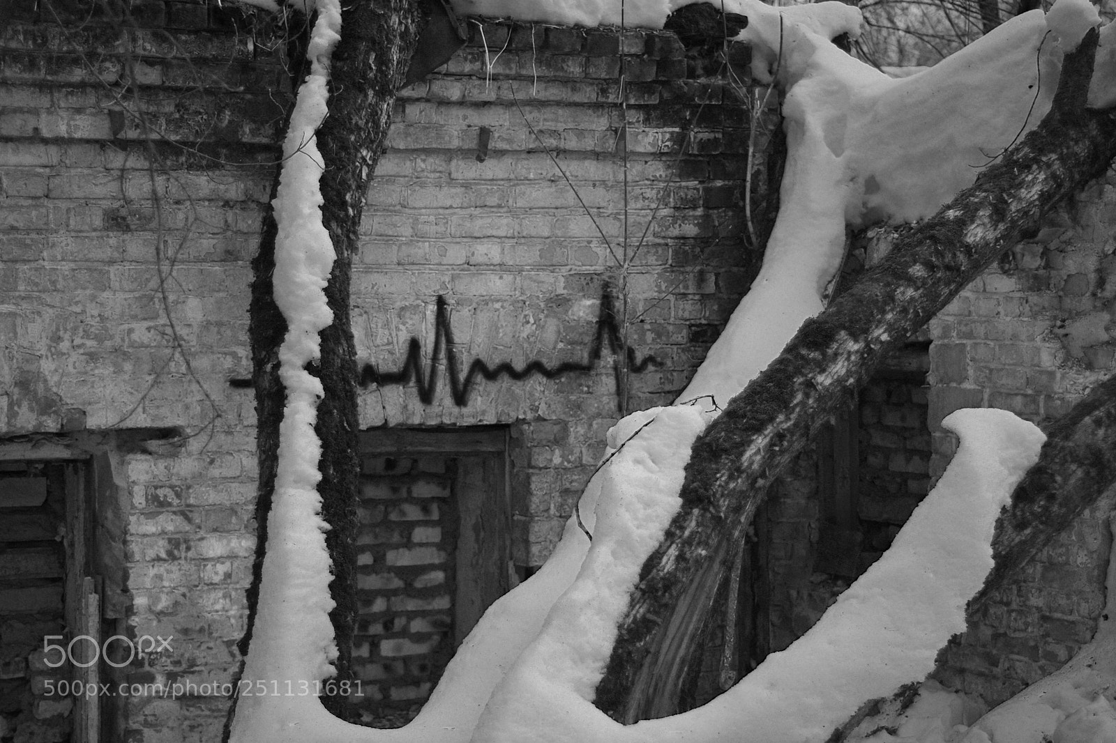 Nikon D7200 sample photo. Heart rate photography