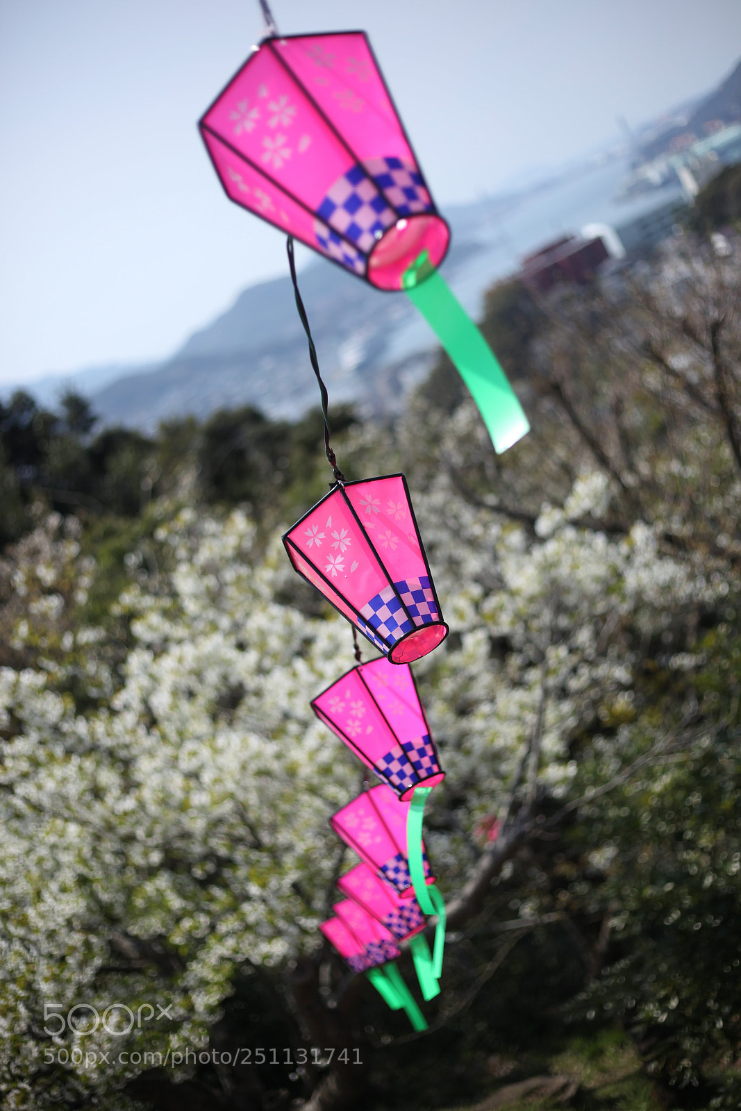 Canon EOS 5D Mark II sample photo. Festival photography