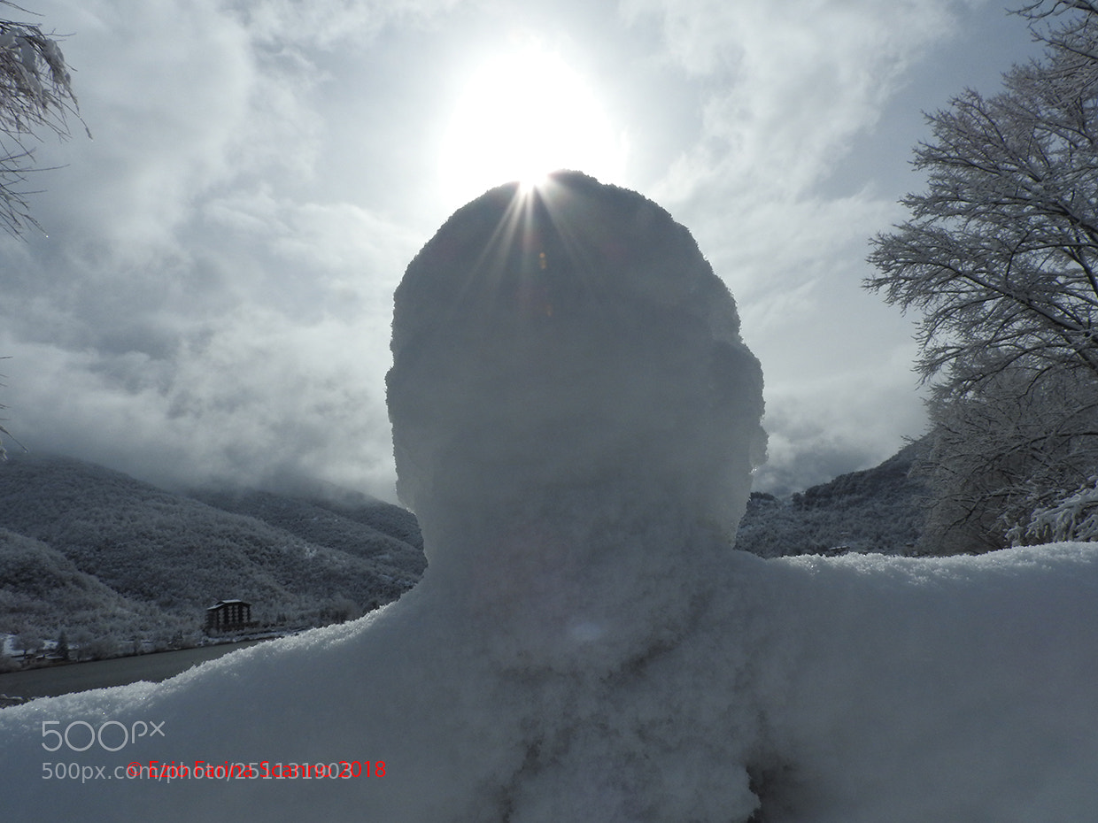 Nikon Coolpix P610 sample photo. Testa di neve photography