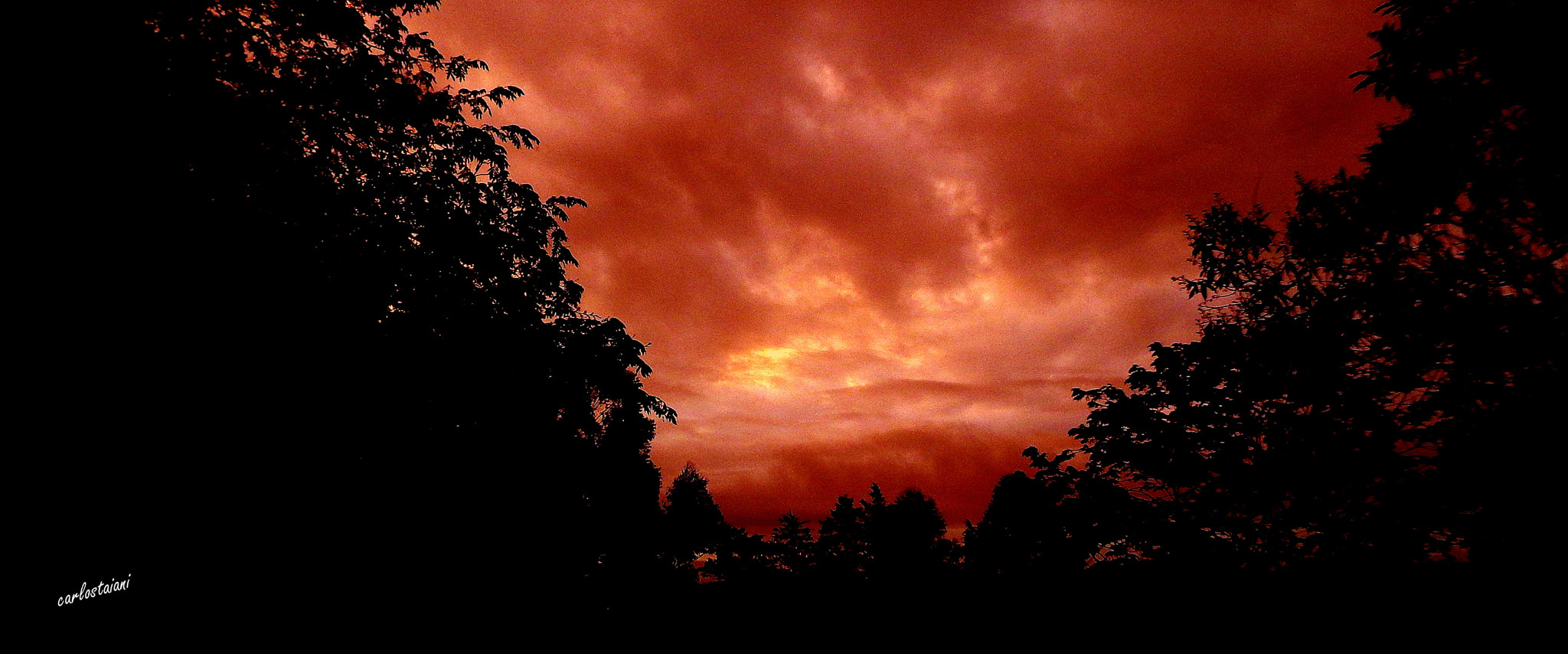 Fujifilm FinePix SL1000 sample photo. Last colors .... photography