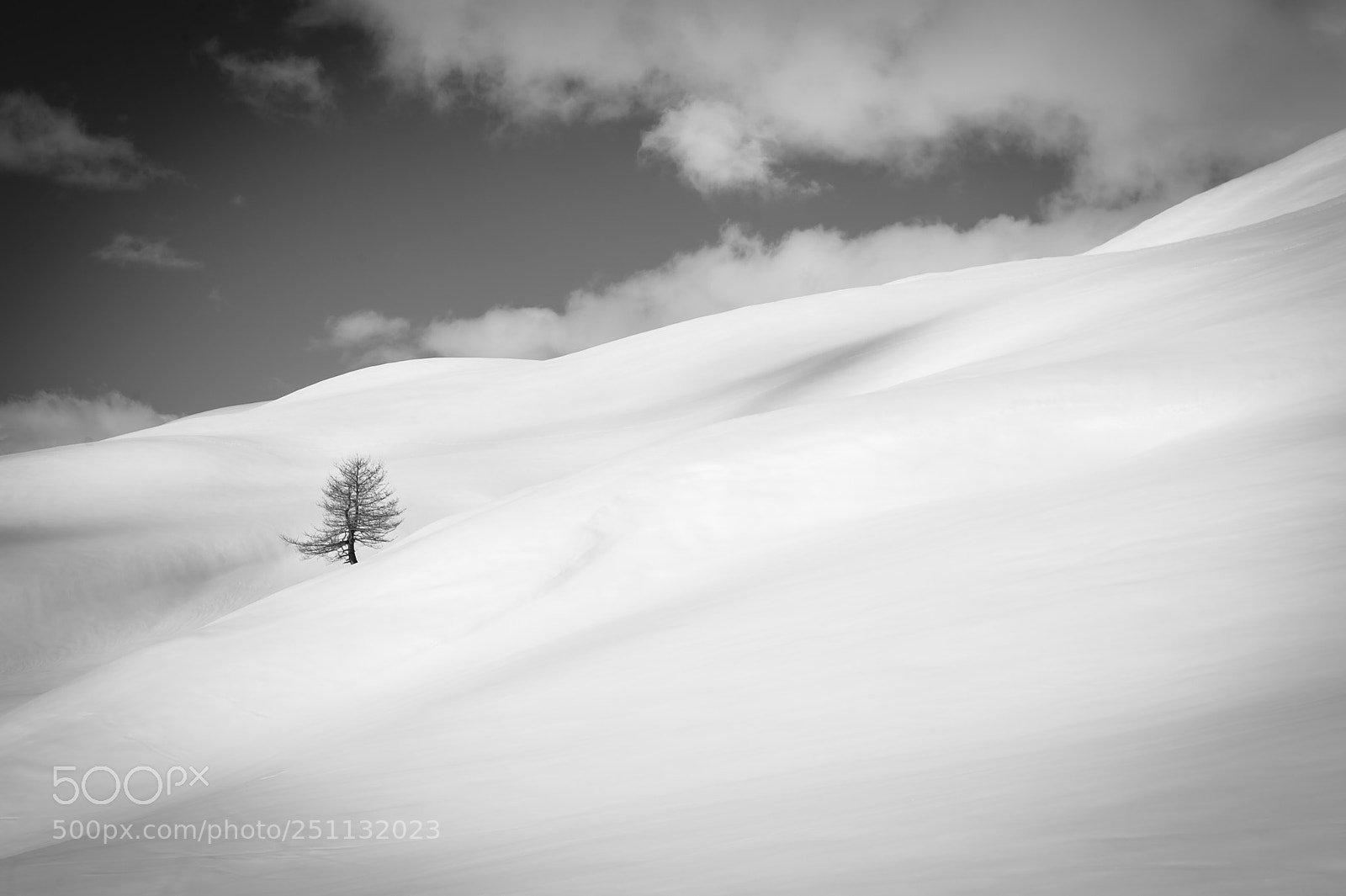 Nikon D4S sample photo. Snow tree photography