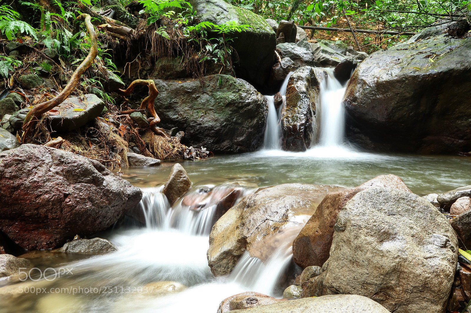 Canon PowerShot G7 X Mark II sample photo. La travers e de photography