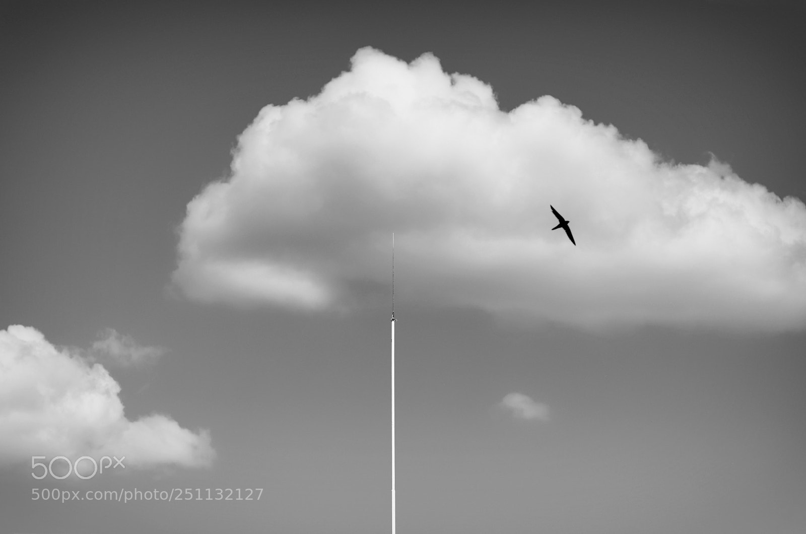 Nikon D7200 sample photo. National flag photography