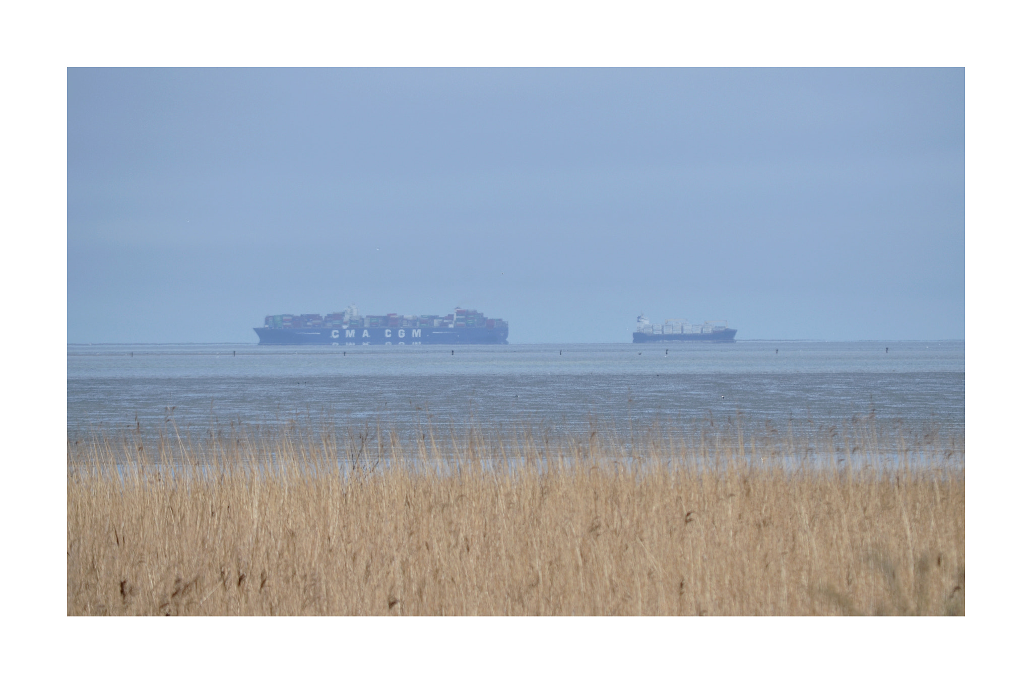 Nikon D5100 sample photo. Big and bigger photography